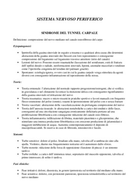 sistema nervoso Book