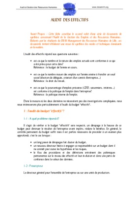 audit des effectifs Book