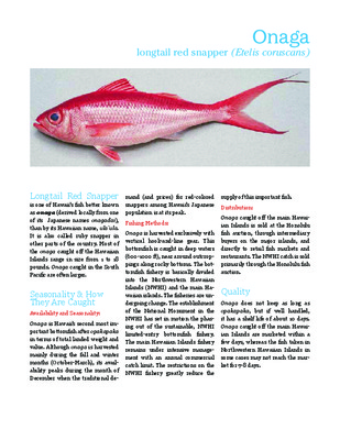onaga Book