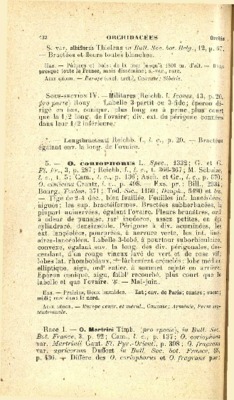 albiflorus Book