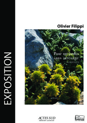 sandra filippi Book