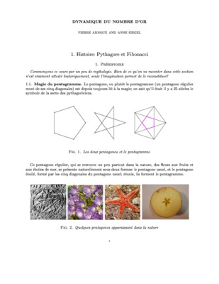 rapport le nombre d_or Book