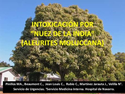 pan tipico de nuez Book