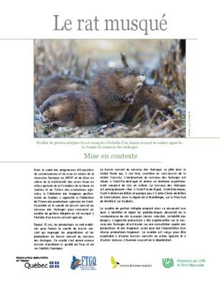 musque Book