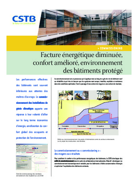 diminuee Book