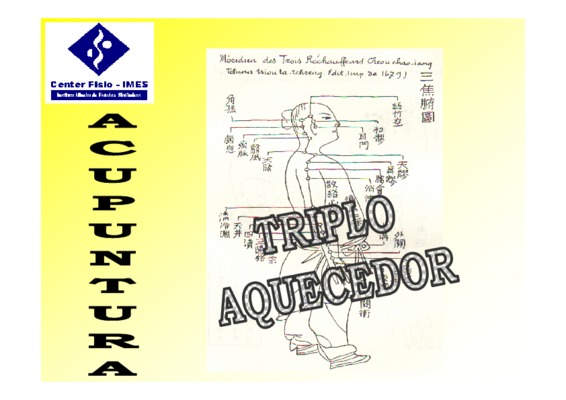 triplo Book