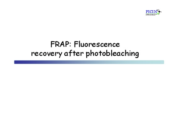 relation dpph frap Book