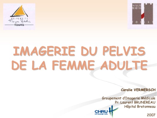 anatomie pelvis homme Book