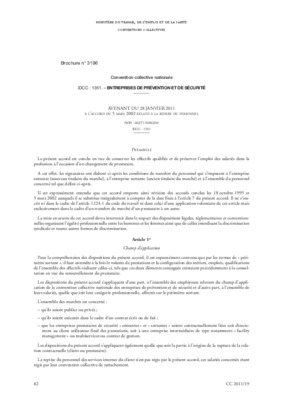 ccn 3196 2011 Book