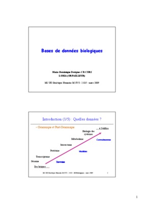 bases de donnees biologiques Book