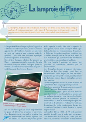lamproie Book