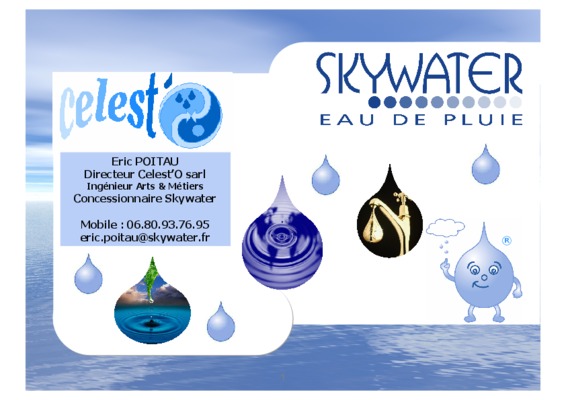 cas skywater Book