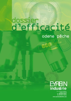 eyrein paradox Book