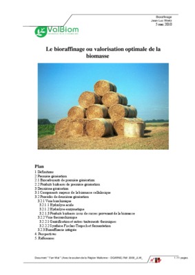 valorisation optimale effluent Book