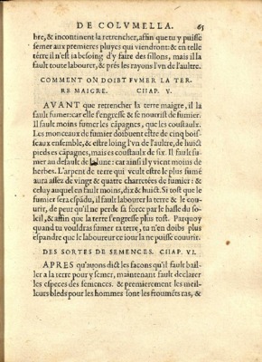 incontinent Book