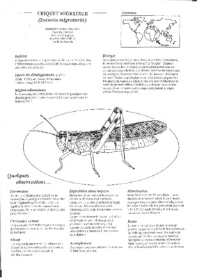 migrateur Book