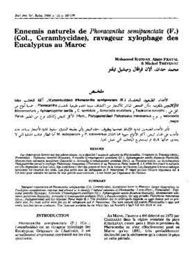 formicidae Book