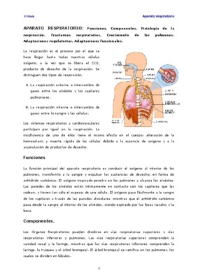 anatomia y fisiologia del aparato reproductor Book