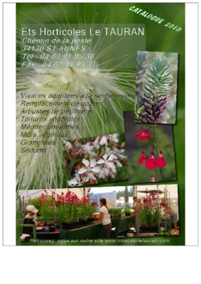 tauran Book