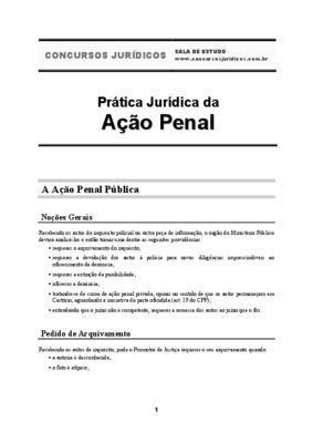 modelo penal pratica Book