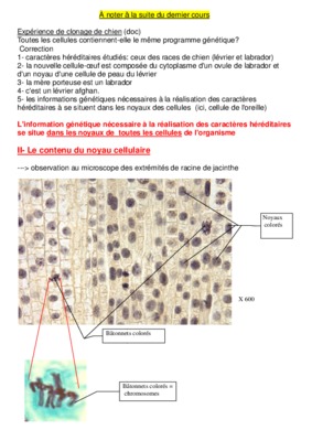noyau cellulaire Book