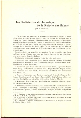 radiolarites Book