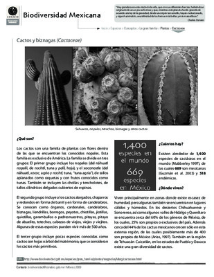 cactaceae Book