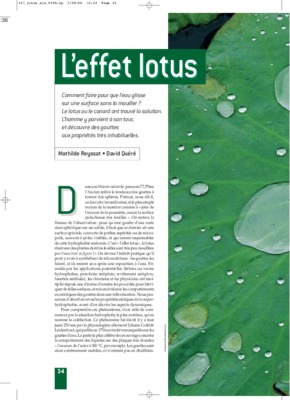 quere Book