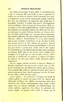 pericyclique Book