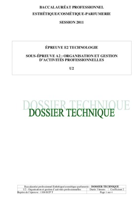 dossier bac pro esth Book