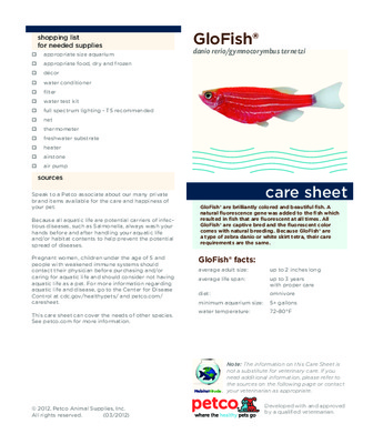 glofish Book
