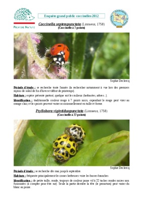 msa picardie Book