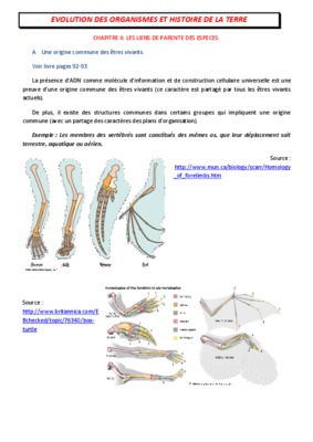 ca 3 simplifiee Book