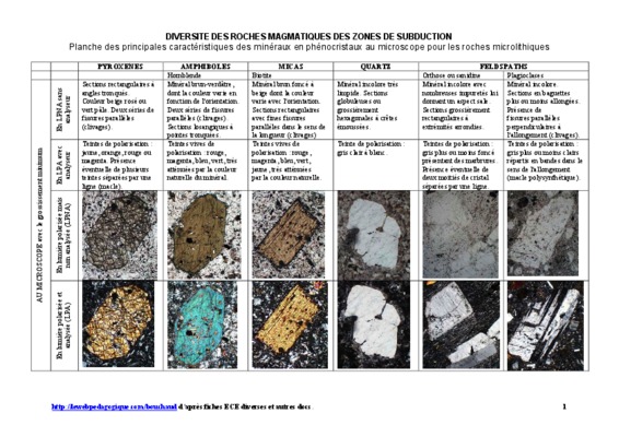 expliquez les mecanismes qui aboutissent a la formation de roches magmatiques dans une zone de subduction Book