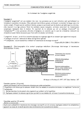 dongen Book