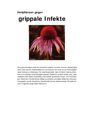 grippale Book
