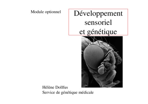 developpement sensoriel Book