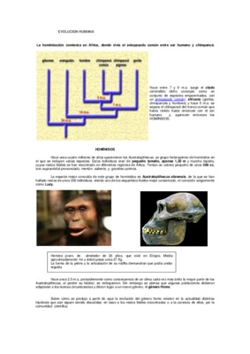 concepto de hominizacion Book