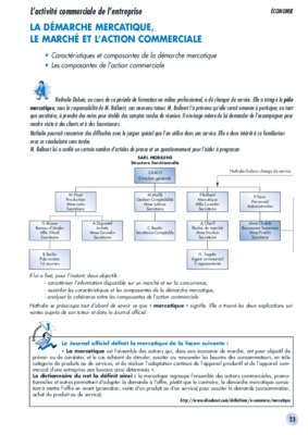 activite commerciale entreprise Book