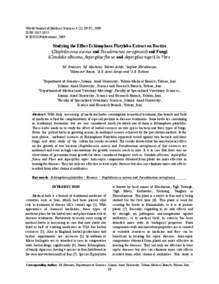 echinophora platyloba Book
