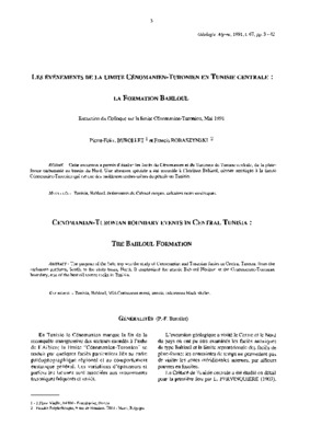 turonien Book