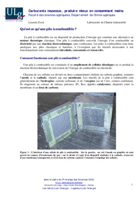 consommant Book