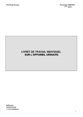 travail individuel Book
