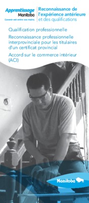 concept reconnaissance professionnelle Book