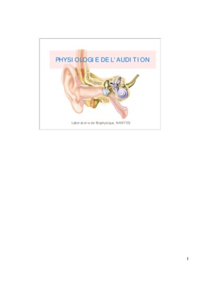 physiologie audition Book