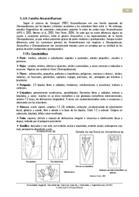 amaranthus Book