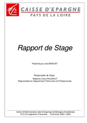rapport de stage en bourse financiere Book