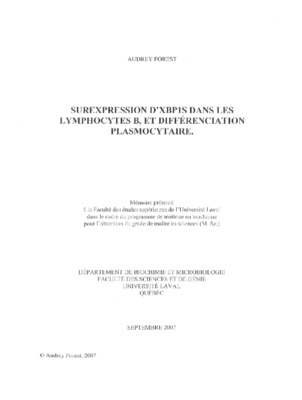 surexpression Book