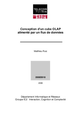 cube olap Book