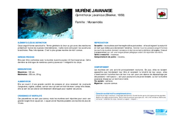 murene Book